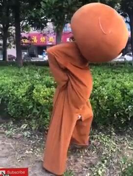 网红熊视频锦集,萌翻你的日常时光