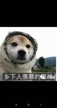 质问的眼神的表情包,质问眼神下的真相揭秘