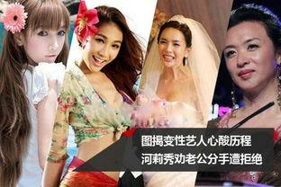 娱乐圈变性故事