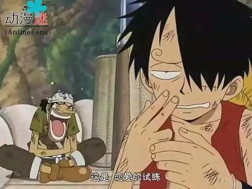 海贼王搞笑集锦,笑料百出，欢乐无限！